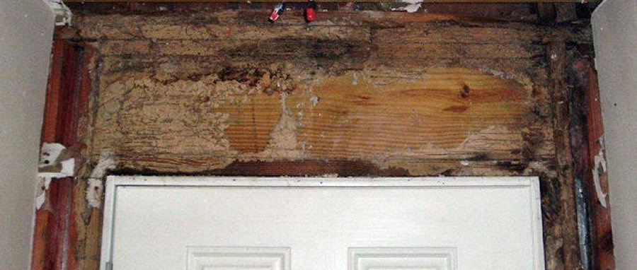 Termite damage compromising a wood header over doorway.