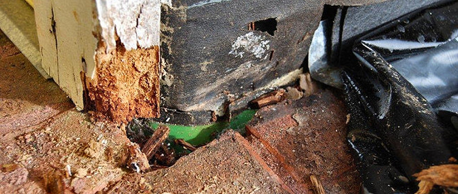 Resulting damage of missing base flashing above brick rowlock at the 1st floor system.