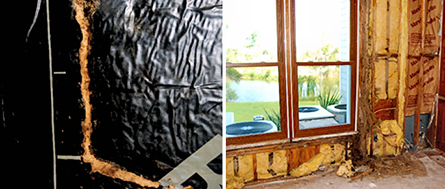 Termite Tube and damage termites can do to a structural wall system.